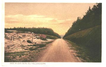 959604 Hellendoorn Ov Weg in den Berg Nette oude kaart Onbes beschikbaar voor biedingen