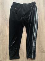 Drykorn jogger pantalon broek zwart grijs 29/34 = S/36, Drykorn, Verzenden, Zwart, Zo goed als nieuw