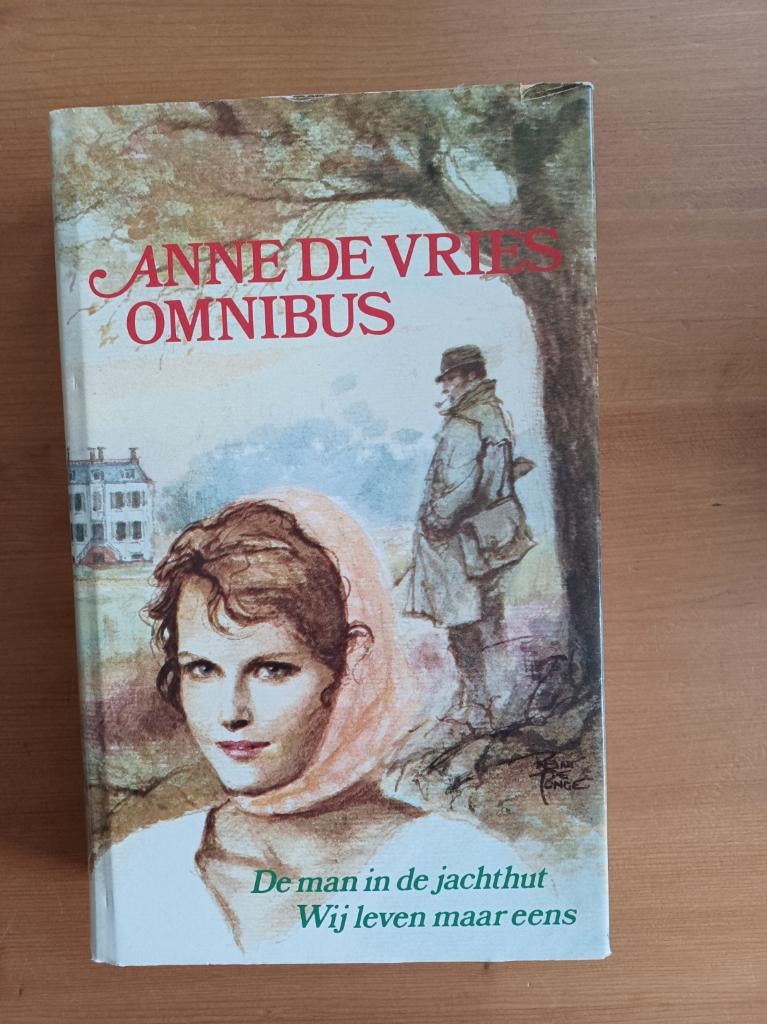 Anne de Vries omnibus, Gelezen, Ophalen of Verzenden, Nederland, Anne de Vries