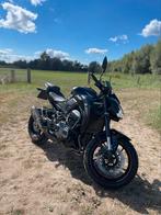 KAWASAKI Z900 - BJ 2019, Motoren, LED Verlichting, 4 cilinders, Motorrijbewijs A, 948 cc