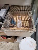 Muizen met fokbaken, Dieren en Toebehoren, Knaagdieren en Konijnen | Hokken en Kooien, Ophalen