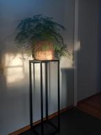 Zwart metalen Planten tafel/ zuil/ pilaar, Ophalen