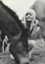 Vintage Persfoto - Sexy Meisje met Paard - 1969, Verzenden
