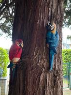 Koppeltje prachtige gietizeren papegaaien, Dieren en Toebehoren, Vogels | Parkieten en Papegaaien, Meerdere dieren, Parkiet