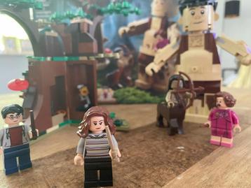 LEGO Harry Potter - Het Verboden Bos – 75967 beschikbaar voor biedingen