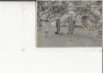 Westland Druivenkrenten  Foto 11,5-8 cm, Ophalen of Verzenden, Voor 1920, Ongelopen, Zuid-Holland