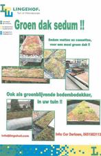 Sexum groen dak in cassettes of matten pakket, Ophalen of Verzenden, Volle zon