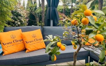 Veuve Clicquot Kussenshoesjes NIEUW‼️ beschikbaar voor biedingen