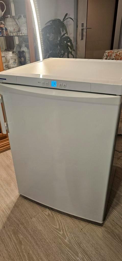 Vrieskast tafelmodel liebherr.(f16), Witgoed en Apparatuur, Vriezers en Diepvrieskisten, Zo goed als nieuw, Minder dan 85 cm, Minder dan 60 cm