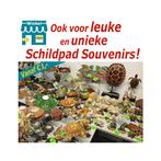 Leuke en unieke Schildpad Souvenirs (Non-profit verkoop), Ophalen of Verzenden, Zo goed als nieuw, Dier