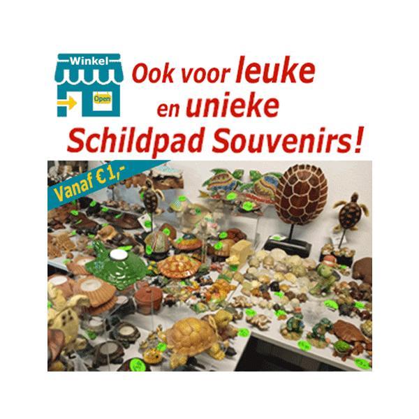 Leuke en unieke Schildpad Souvenirs (Non-profit verkoop), Verzamelen, Beelden en Beeldjes, Zo goed als nieuw, Dier, Ophalen of Verzenden