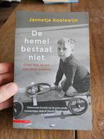 Jannetje Koelewijn - De hemel bestaat niet, Boeken, Ophalen of Verzenden, Zo goed als nieuw, Jannetje Koelewijn