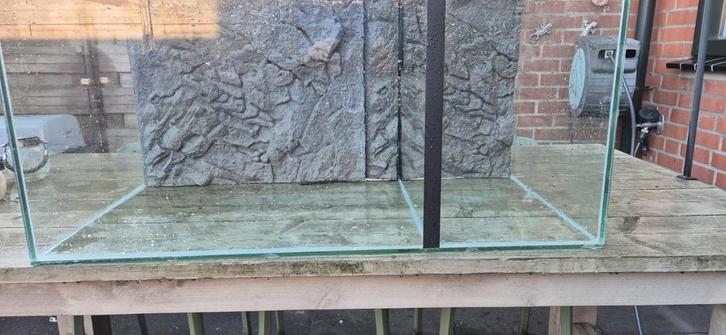 Mooi kweek aquarium 100x50x50, Dieren en Toebehoren, Vissen | Aquaria en Toebehoren, Zo goed als nieuw, Leeg aquarium, Ophalen