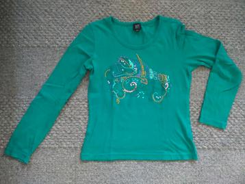 Groen shirt lange mouw met mooie stiksels en glitters maat M beschikbaar voor biedingen