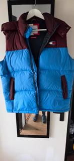 Tommy Jeans Bodywarmer met trui Blauw/Rood - Maat M, Ophalen of Verzenden, Zo goed als nieuw, Tommy Jeans, Maat 48/50 (M)