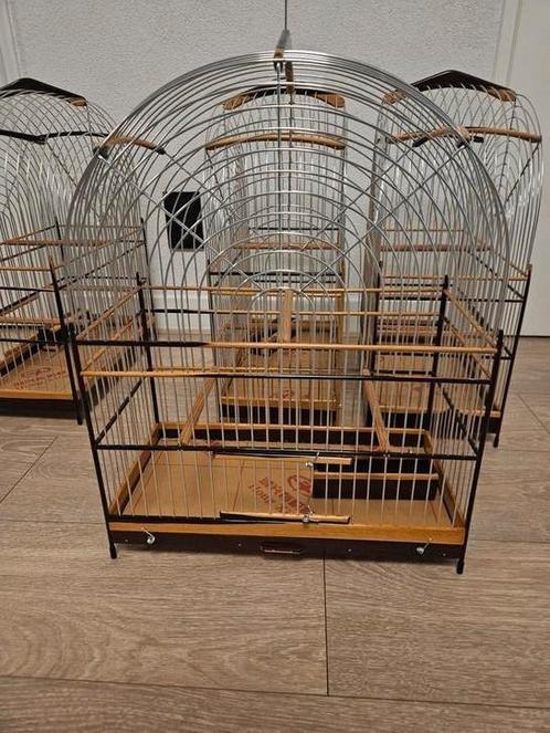 Twatwa Kooi ijzerhard, Dieren en Toebehoren, Vogels | Overige Vogels, Tropenvogel, Meerdere dieren