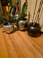 Mooie ronde bloempot - zilverkleurig en zwart  + orchideeën, Tuin en Terras, Bloempotten, Ophalen, Overige materialen, Gebruikt