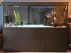 Groot aquarium 198x56 diep x 80 hoog, Ophalen, Leeg aquarium