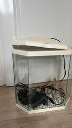 Aquarium, Dieren en Toebehoren, Vissen | Aquaria en Toebehoren, Ophalen of Verzenden, Zo goed als nieuw, Leeg aquarium