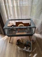Hamsterhok op pootjes met benodigdheden, Dieren en Toebehoren, Gebruikt, 75 tot 110 cm, Ophalen, Minder dan 60 cm