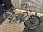 Gazelle impala 53 cm, 51 tot 55 cm, Ophalen