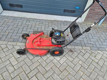 victa ruwtereinmaaier beschikbaar voor biedingen