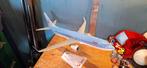 TUI jetair schaal model vliegtuig Boeing 737, Verzamelen, Schaalmodel, ., Ophalen of Verzenden, Zo goed als nieuw