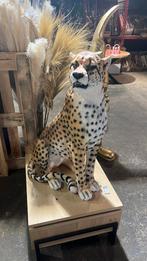 Cheetah beeld NIEUW, Ophalen, Zo goed als nieuw