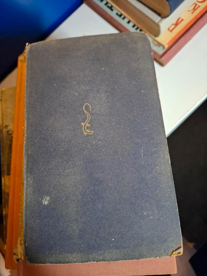 De Andere Wereld - M.H. Szekely-Lulofs, Boeken, Literatuur, Ophalen of Verzenden