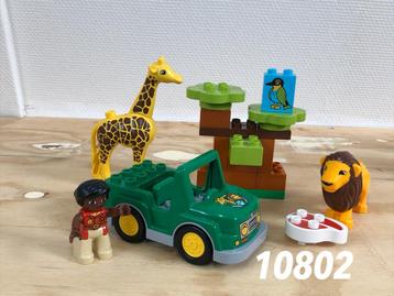 Duplo savanne leeuw en giraf 10802 (compleet) 2 beschikbaar voor biedingen