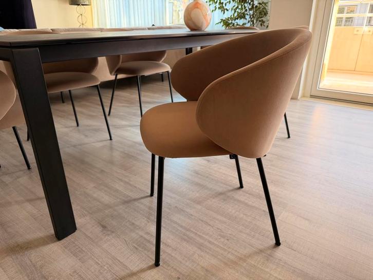 Zes Connubia Tuka eetkamerstoelen, Huis en Inrichting, Stoelen, Nieuw, Vijf, Zes of meer stoelen, Stof, Overige kleuren, Ophalen