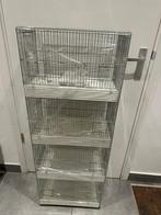 Italiaanse draadkooien., Dieren en Toebehoren, Ophalen