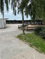 Pension stalling, Almere Haven, Dieren en Toebehoren, Stalling en Weidegang