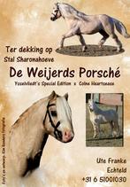 Ter dekking, Dieren en Toebehoren, Hengst