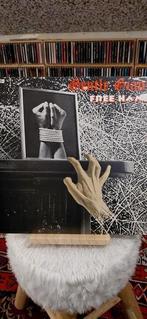 Elpee Gentle Giant , Free Hand, Cd's en Dvd's, Ophalen of Verzenden, Zo goed als nieuw, 12 inch