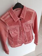 dreamstar jasje, Dreamstar, Ophalen of Verzenden, Nieuw, Maat 42/44 (L)