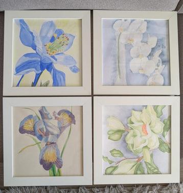 Set van 4 prachtige, handgeschilderde aquarellen beschikbaar voor biedingen