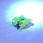 Hyaliet opaal cluster, UV reactief, Erongo, Ethopië, Ophalen of Verzenden, Mineraal