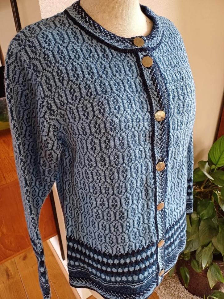 Susan Fosse Wollen Vest Folklore L 40 outdoor, Kleding | Dames, Truien en Vesten, Zo goed als nieuw, Maat 42/44 (L), Blauw, Ophalen of Verzenden