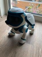TEKSTA Robot hond 360, goede staat, Kinderen en Baby's, Speelgoed | Vtech, Ophalen of Verzenden, Gebruikt, 6 jaar of ouder