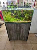 Aquascape 140 aquarium compleet, Dieren en Toebehoren, Vissen | Aquaria en Toebehoren, Ophalen, Zo goed als nieuw, Gevuld zoetwateraquarium