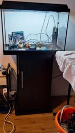 Juwel aquarium, Ophalen, Zo goed als nieuw, Leeg aquarium