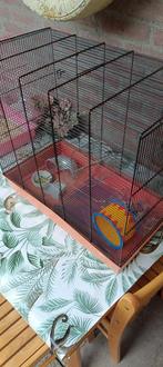 Hallo te koop een mooie kooi voor knaagdieren zoals Hamster, Dieren en Toebehoren, Knaagdieren en Konijnen | Hokken en Kooien