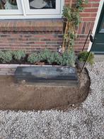 6 Gratis Bandjes van Hornbach, Tuin en Terras, Bielzen en Borders, Ophalen, Gebruikt, Minder dan 25 cm, Border