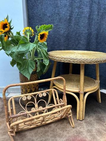Rotan salontafel  beschikbaar voor biedingen