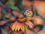 Pasteltekening vlinder op bloem, Ophalen of Verzenden