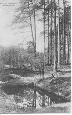 Ginneken Pul in't Mastbosch, Verzamelen, Ansichtkaarten | Nederland, Ophalen of Verzenden, 1920 tot 1940, Ongelopen, Noord-Brabant