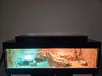 Terrarium 150x50x52 zeer compleet + extra's, Dieren en Toebehoren, Reptielen en Amfibieën | Toebehoren, Ophalen, Zo goed als nieuw