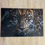 Plexiglas wanddecoratie luipaard | 90x60 cm, Nieuw, Print, Info@demuurdecoratie.nl, 75 tot 100 cm