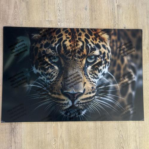Plexiglas wanddecoratie luipaard | 90x60 cm, Huis en Inrichting, Woonaccessoires | Schilderijen, Tekeningen en Foto's, Nieuw, Print